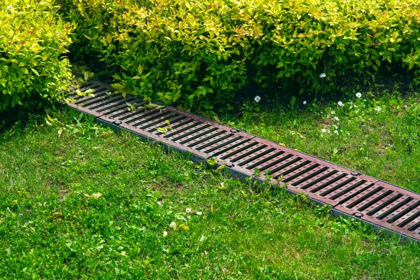 Cost of Lawn Drainage in Madison