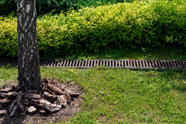 Garden Drainage Installation in Madison